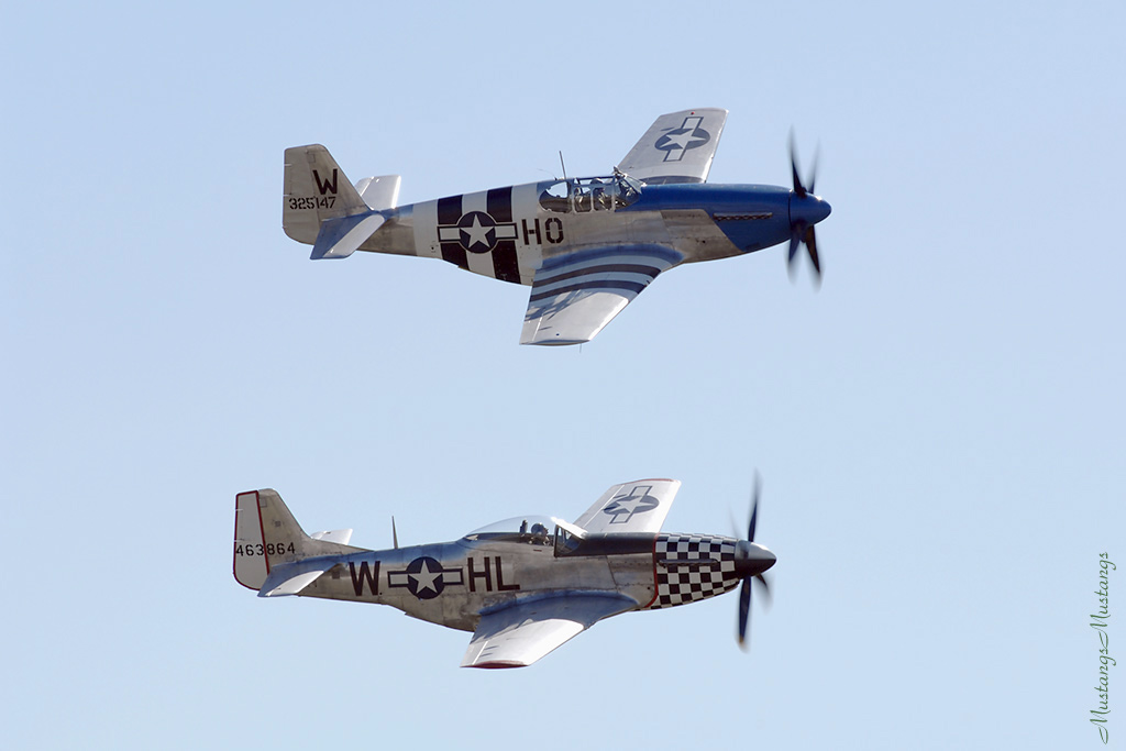 43-25147_00333_cf1.jpg