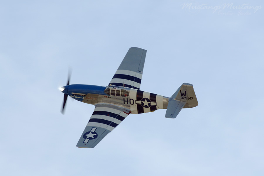 43-25147_00343_cf1.jpg