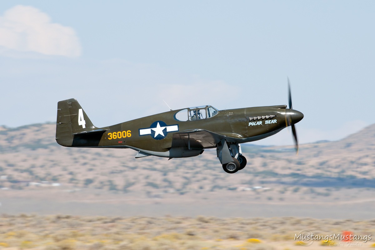43-6006_9065_cf1.jpg