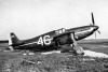 P-51