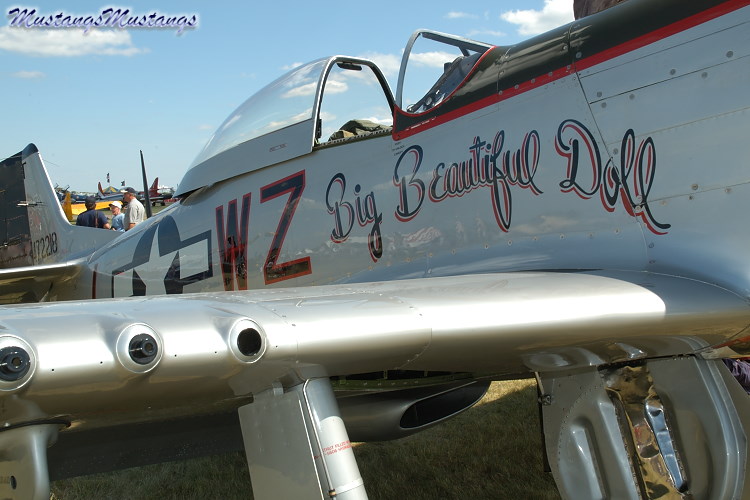44-63634_00833_cf1.jpg