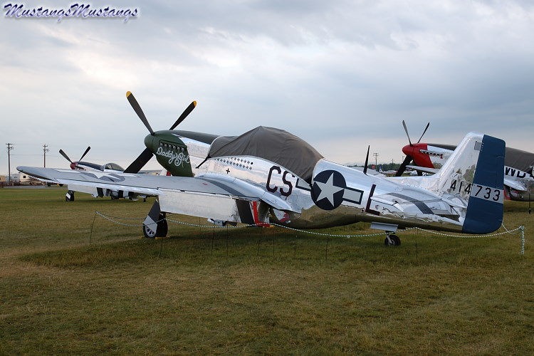 44-63807_00982_cf1.jpg