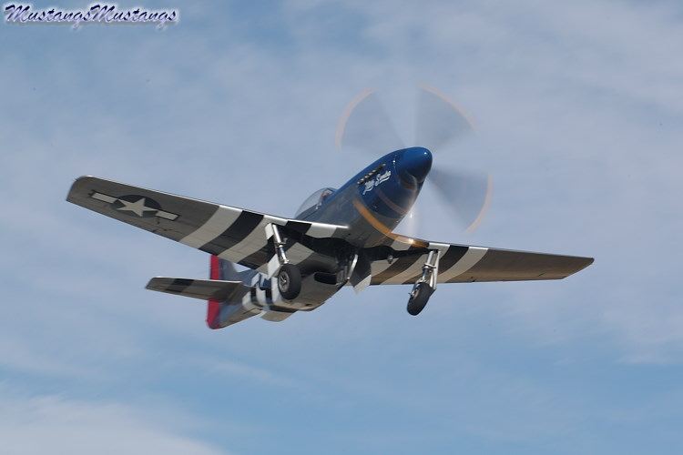 44-72192_01410_cf1.jpg