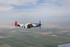 P-51