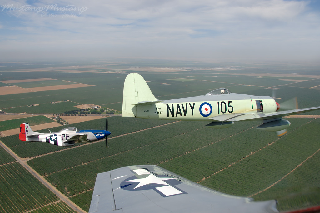 44-72192_01433_cf1.jpg