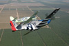 P-51