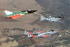 P-51