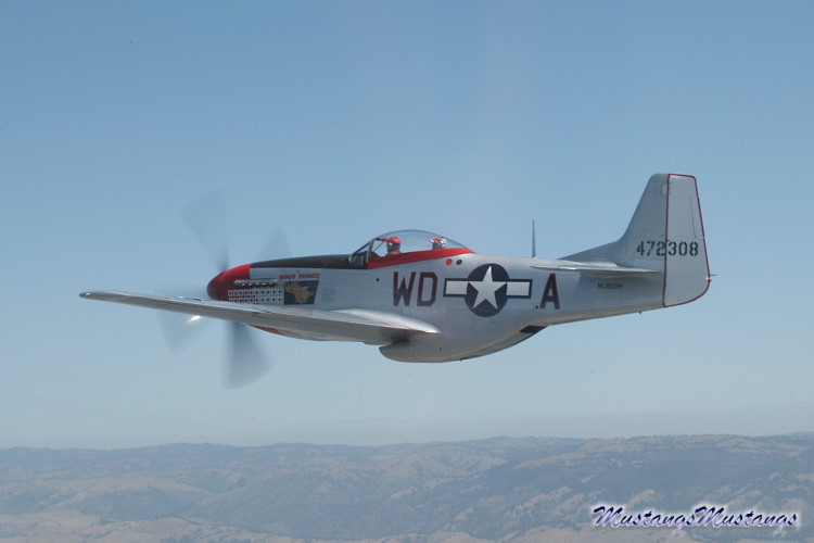 44-72483_01558_cf1.jpg
