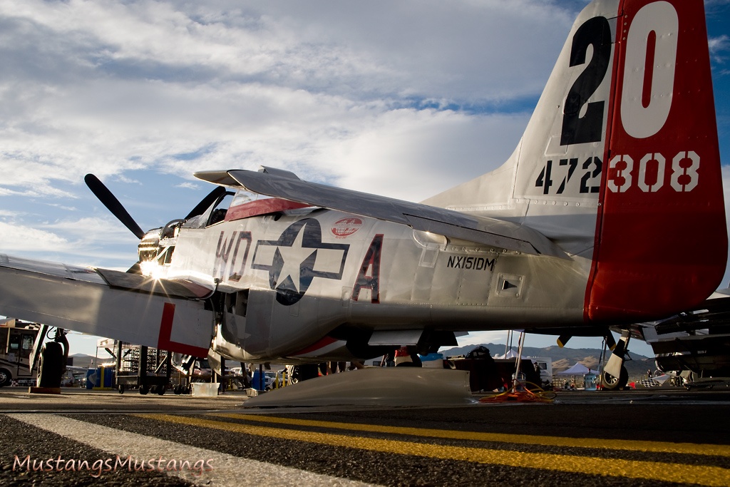 44-72483_7974_cf1.jpg