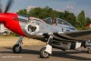 P-51