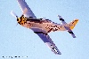 P-51