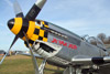 P-51