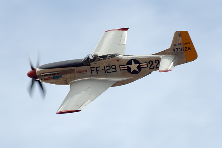 44-73129_02053_cf1.jpg