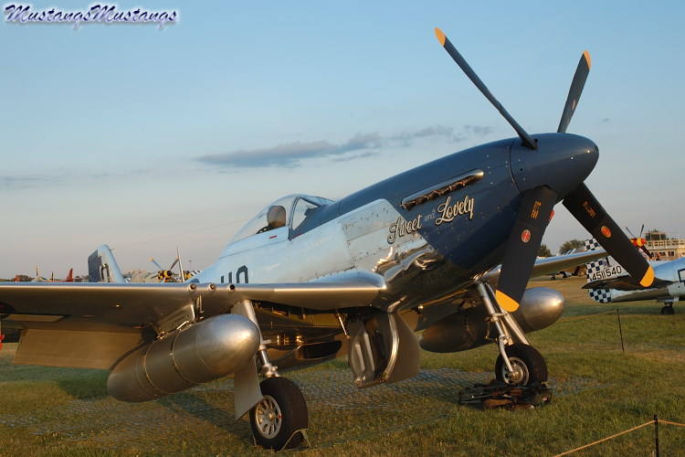 44-73279_02336_cf1.jpg