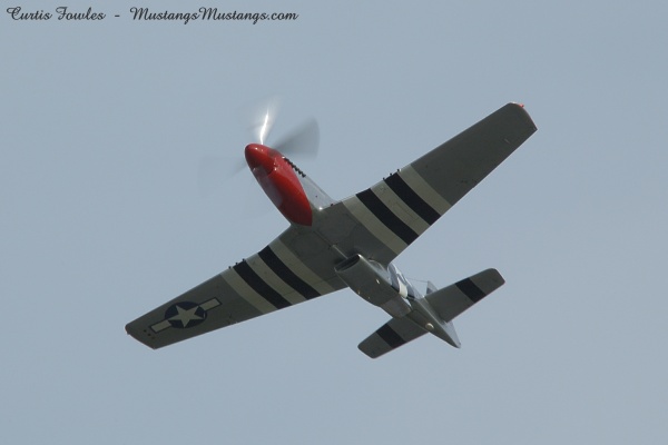 44-73339_02467_cf1.jpg