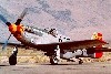 P-51