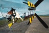 P-51