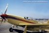 P-51