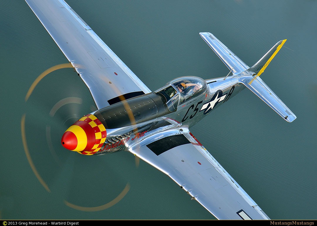 44-74202_9128_gm2.jpg
