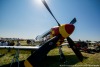 P-51