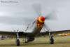 P-51