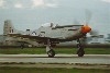P-51