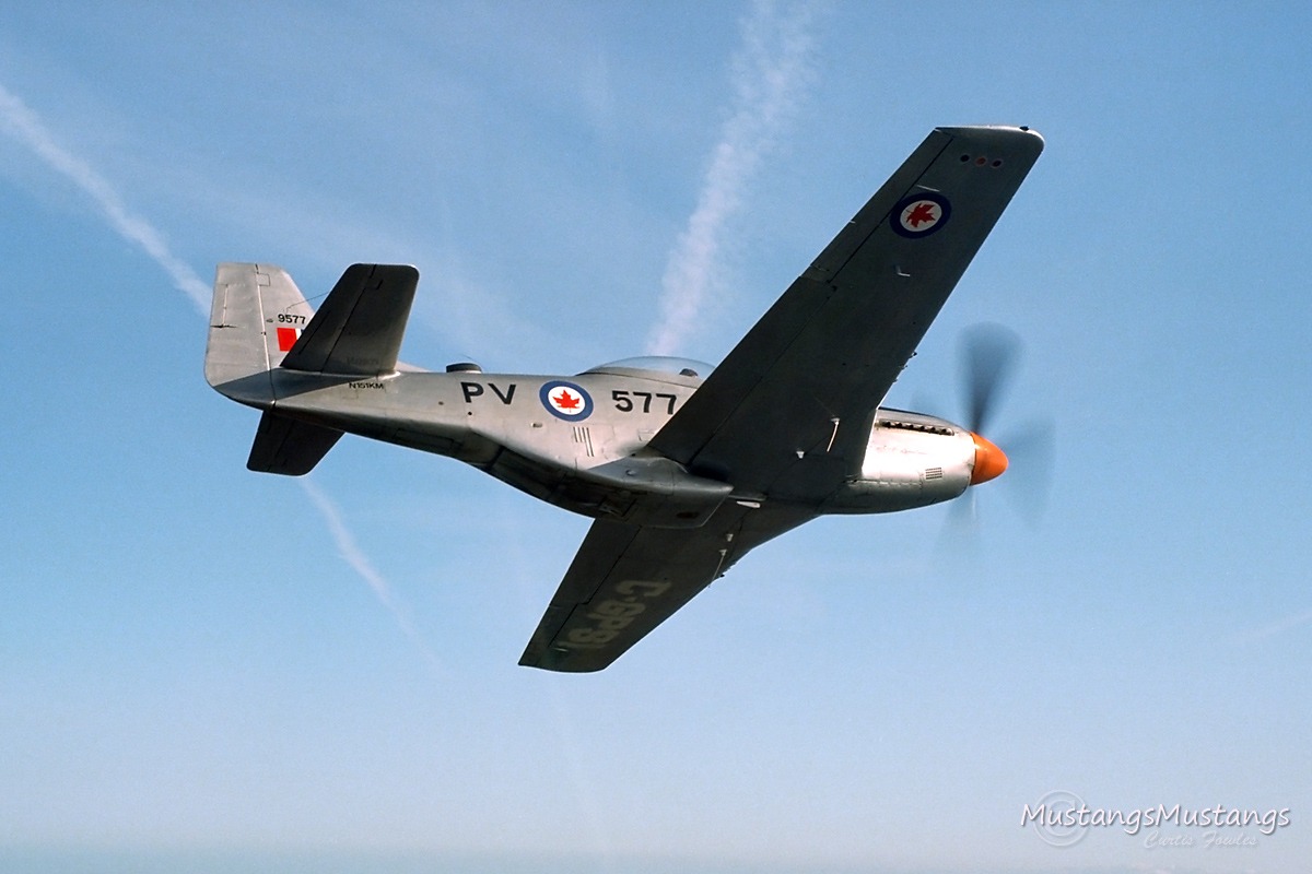 44-74311_03221_cf1.jpg
