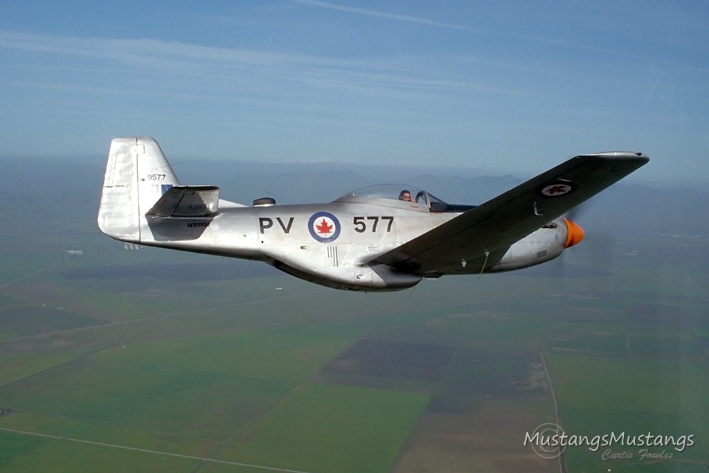 44-74311_03225_cf1.jpg