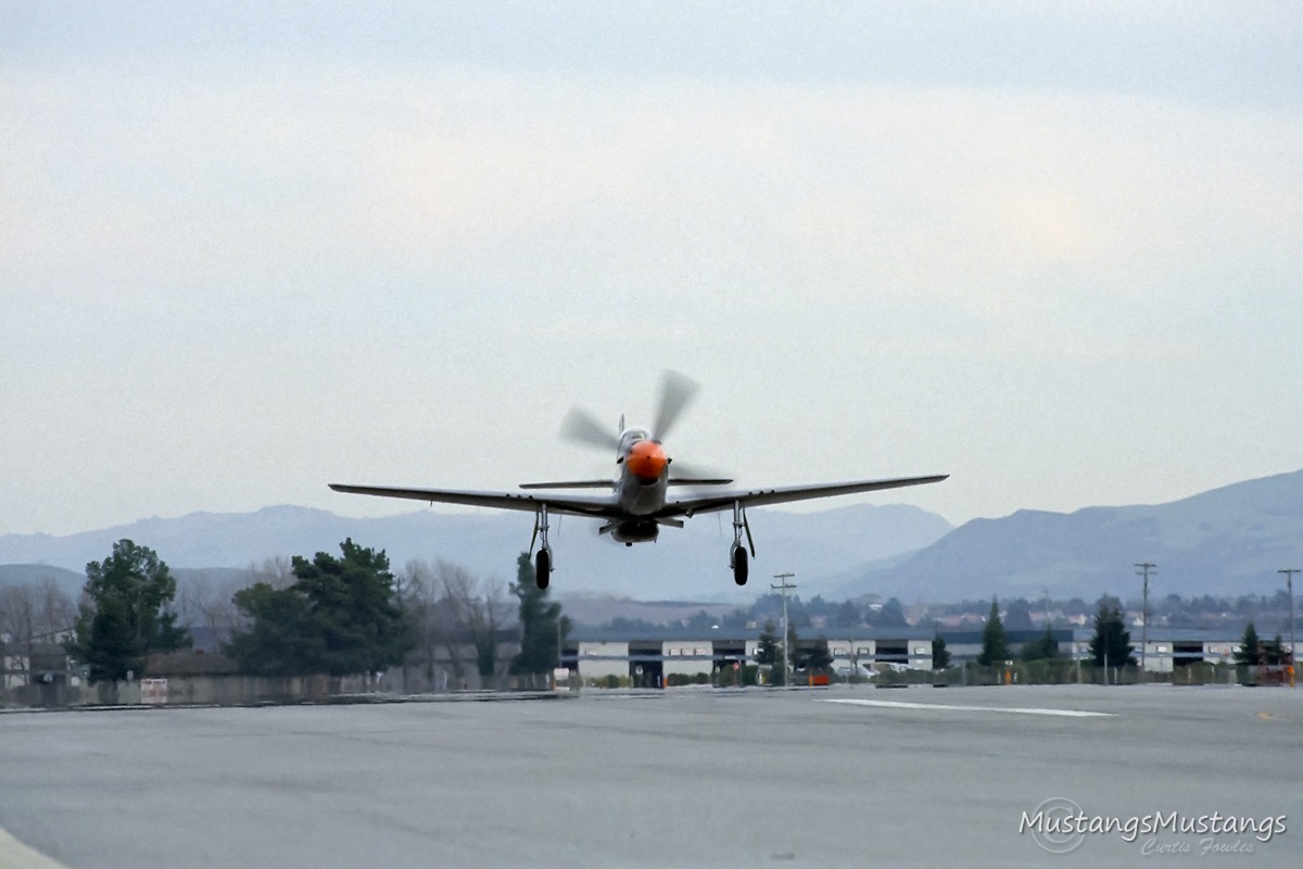 44-74311_8832_cf1.jpg