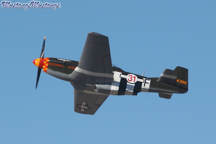 44-74389_03261_cf1.jpg