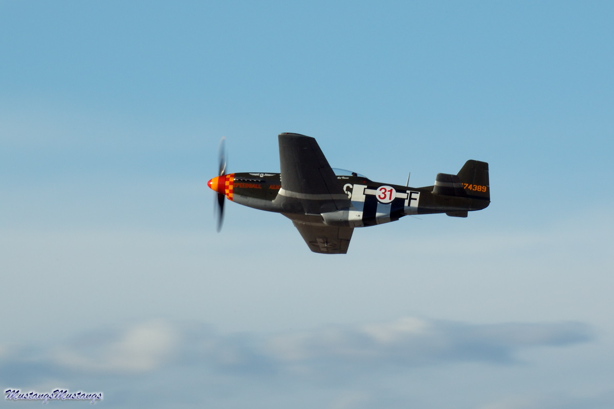 44-74389_03268_cf1.jpg