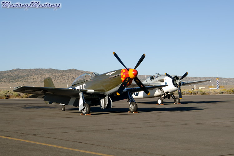 44-74389_03274_cf1.jpg