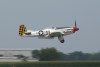 P-51