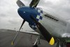 P-51