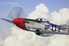P-51
