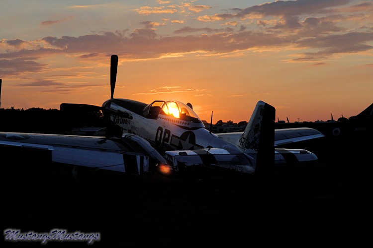 44-74469_03649_cf1.jpg