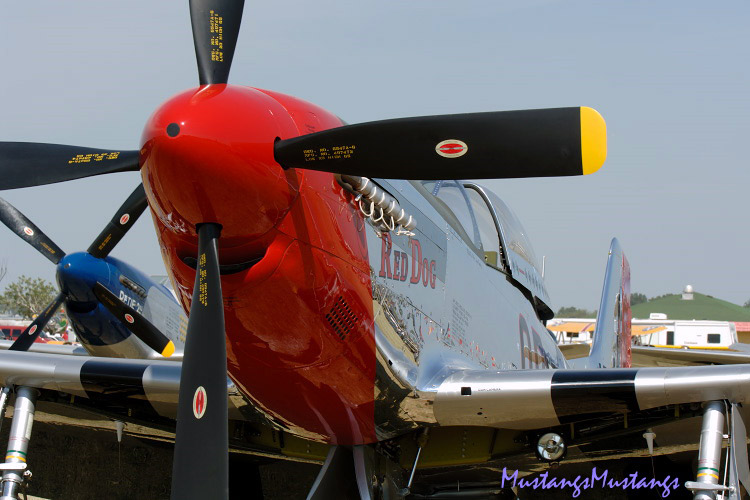 44-74469_03656_cf1.jpg