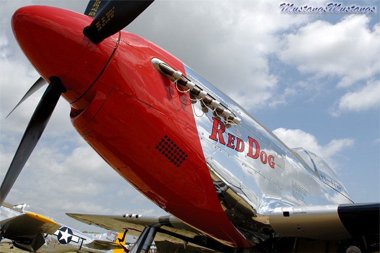 44-74469_03660_cf1.jpg