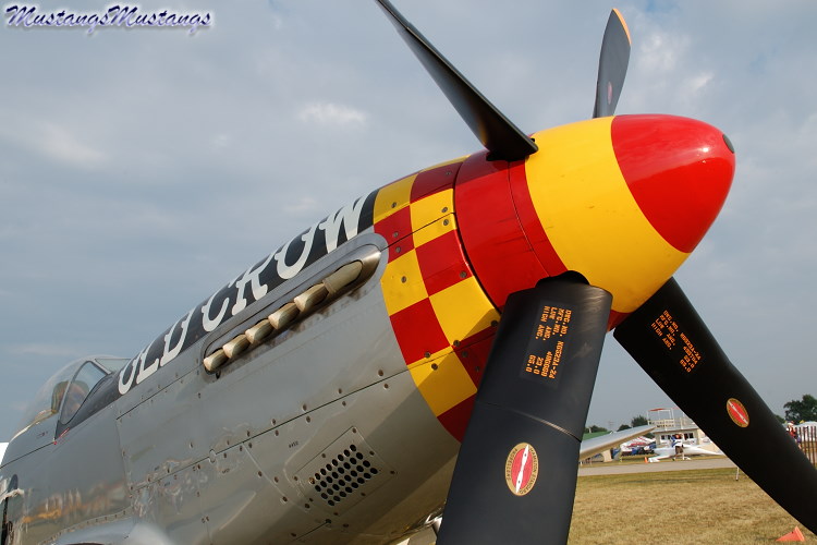 44-74474_03681_cf1.jpg