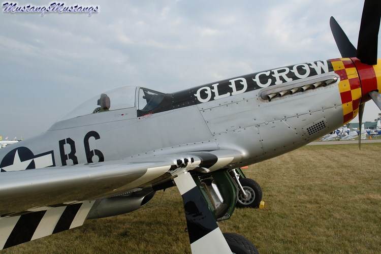 44-74474_03682_cf1.jpg