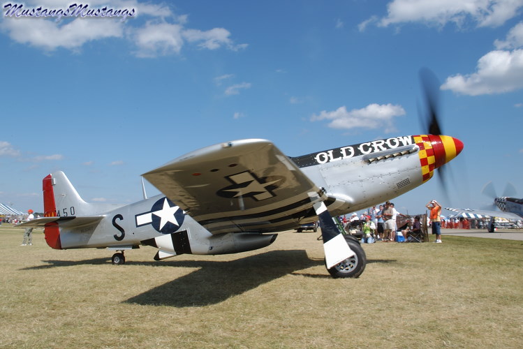 44-74474_03699_cf1.jpg