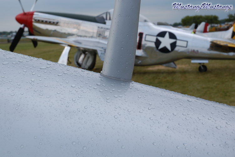 44-74474_03703_cf1.jpg
