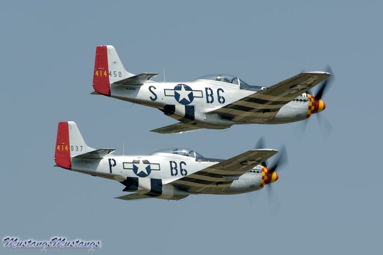 44-74474_03719_cf1.jpg