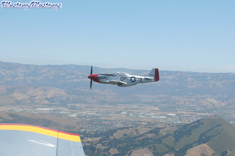 44-74494_03773_cf1.jpg