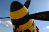 P-51