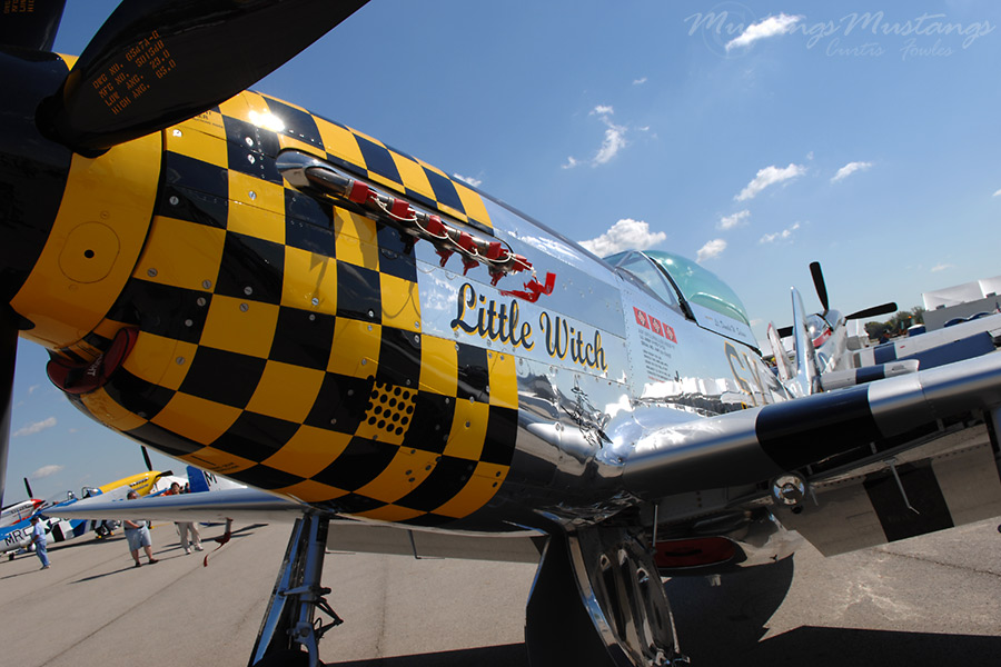 44-74497_03825_cf1.jpg