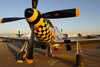 P-51