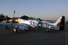 P-51