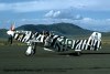 P-51