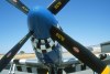 P-51